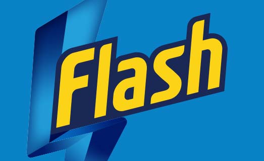 Flash logo